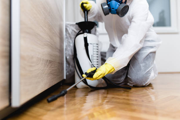 Best Termite Control Services  in Day Heights, OH