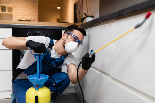 Best Flea Control Services  in Day Heights, OH