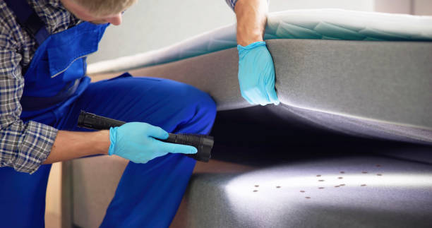 Best Wasp Removal Services  in Day Heights, OH