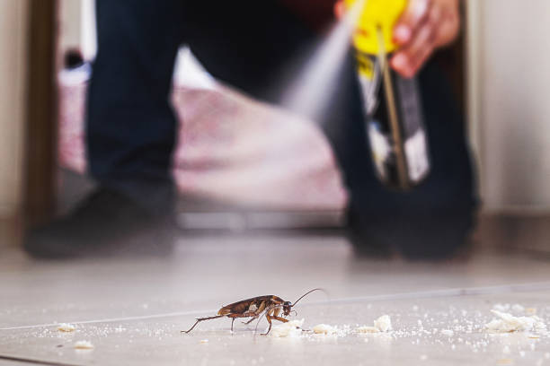 Best Best Pest Control Companies  in Day Heights, OH