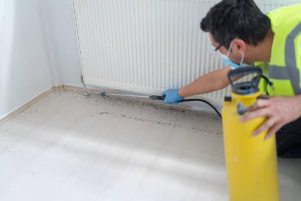 Best Affordable Pest Control Services  in Day Heights, OH