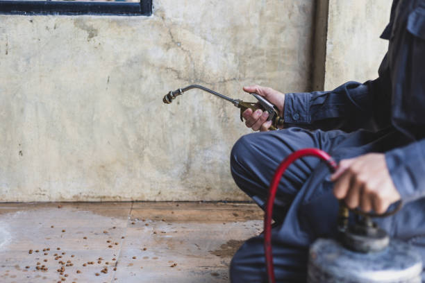 Best Pest Control for Homes  in Day Heights, OH